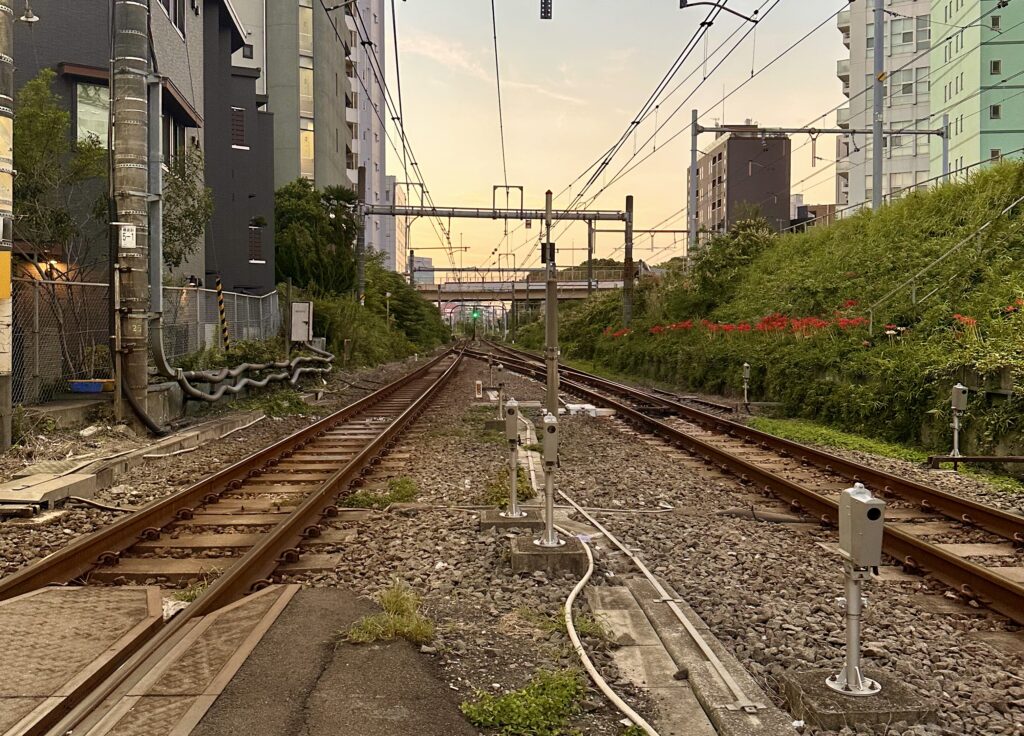 Jet Lag Mornings Near Shibuya (©Melanie Lee)