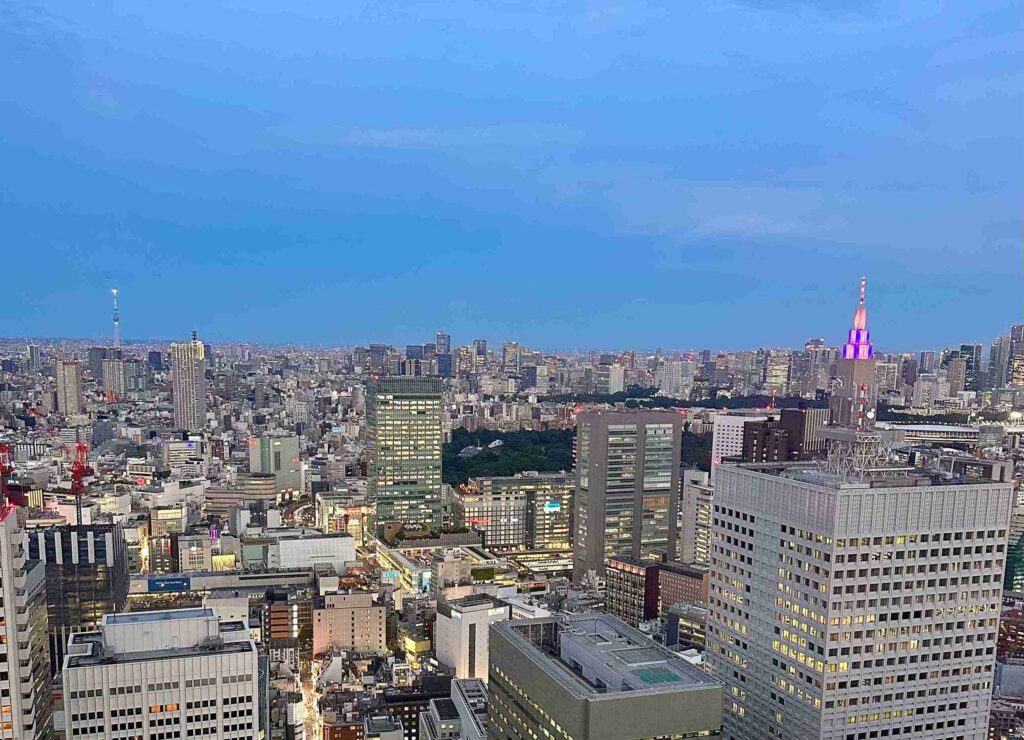 Night Views from the Tokyo Metropolitan Government Building Observation Deck (©Melanie Lee)