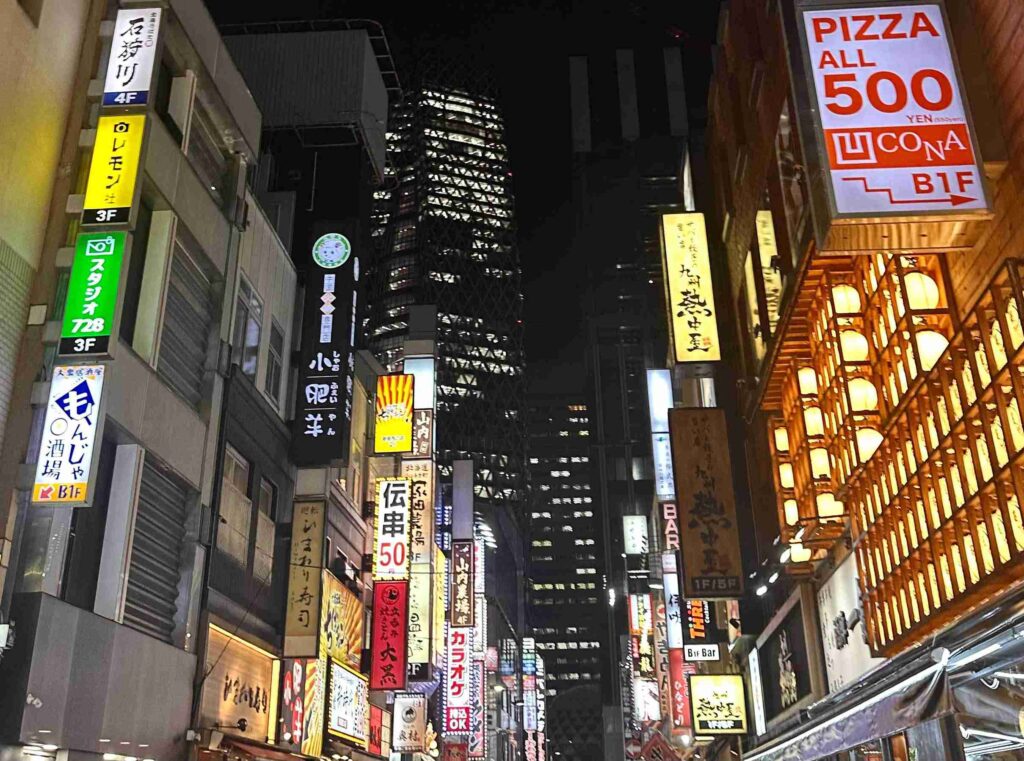 Night Lights in Tokyo to Share My Tokyo Itinerary (©Melanie Lee)
