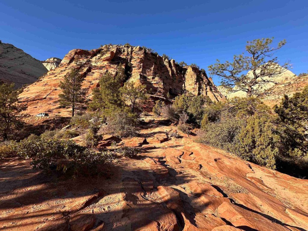 Zion National Park (©Melanie Lee)