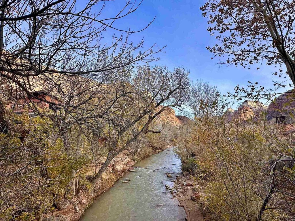 Zion National Park (©Melanie Lee)